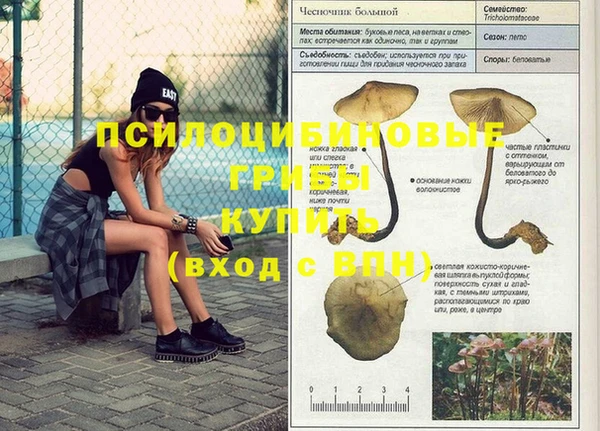 spice Снежинск