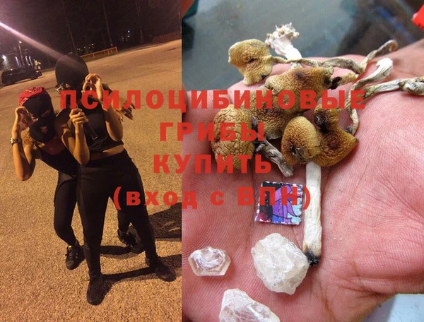 синтетический гашиш Костерёво