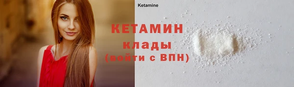 шишки Коряжма