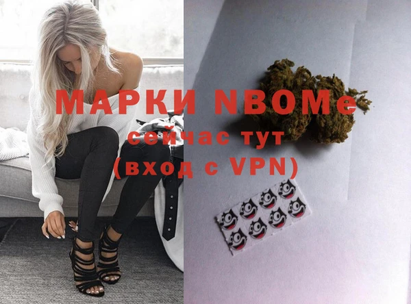 шишки Коряжма