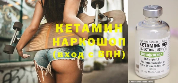 шишки Снежногорск