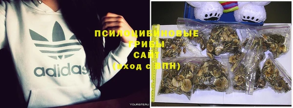 амф Киреевск