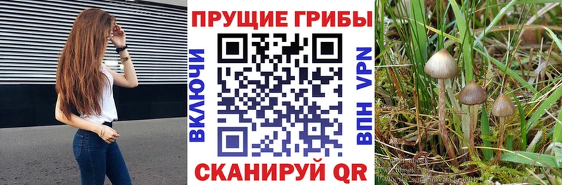 Галлюциногенные грибы мицелий Соль-Илецк